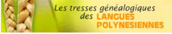 Image de tresse